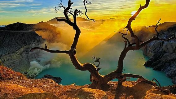 Surabaya Gunung Ijen 1-day tour [round-trip minibus + photographer + gas mask + admission ticket]