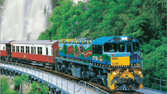 [Cool Dinner/Koala umarmen] Tagesausflug mit chinesischer Reisegruppe durch den Regenwald von Cairns nach Kuranda mit optionalem Flughafentransfer nach der Tour