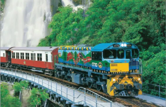 【可選和牛晚餐/抱樹熊/團後送機】開恩茲庫蘭達雨林一日遊