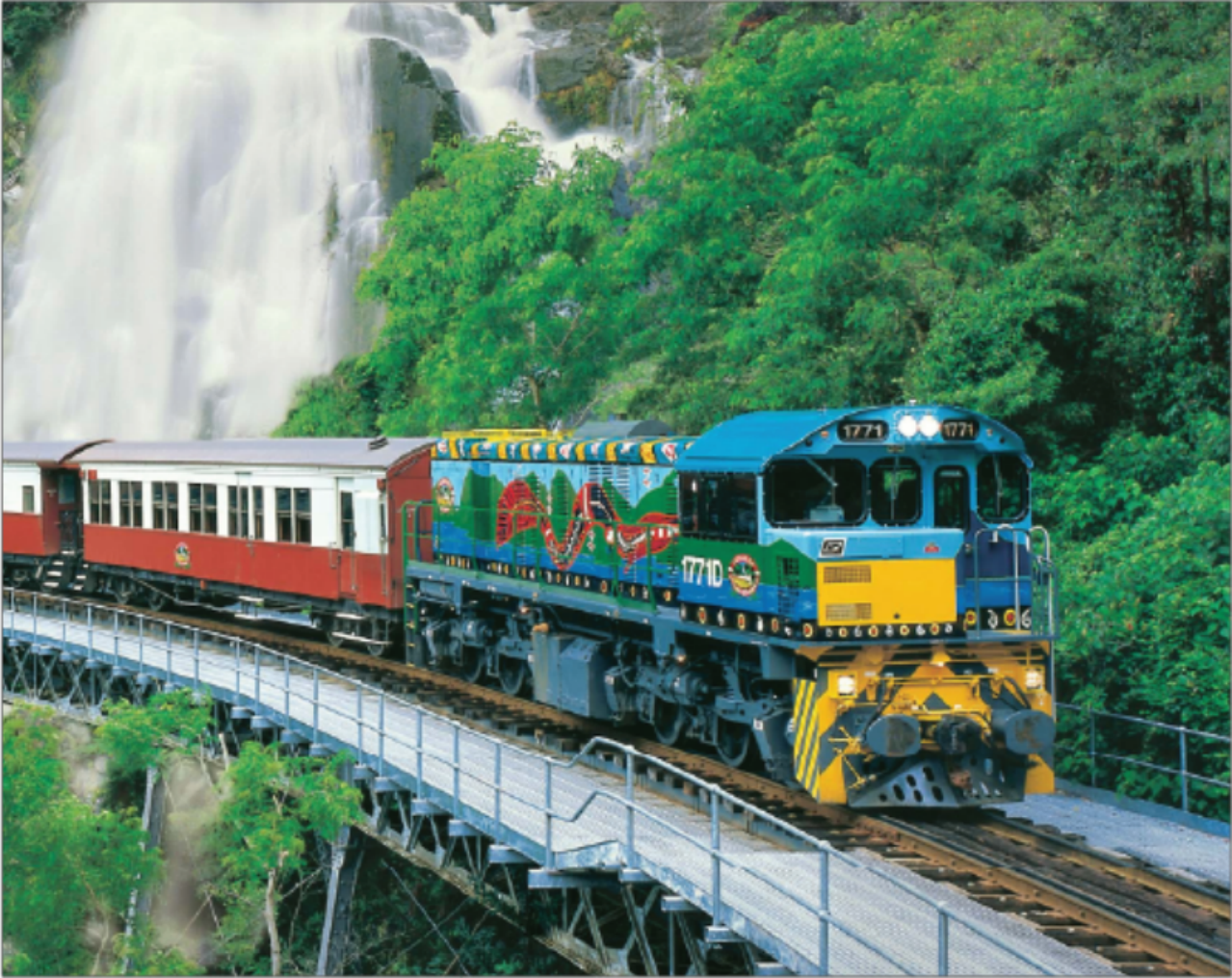 [เลือกทานอาหารเย็นเนื้อวากิว/อุ้มโคอาล่า/บริการส่งที่สนามบินหลังทัวร์] ทัวร์ 1 วันป่าฝนคูรันดาแคนส์