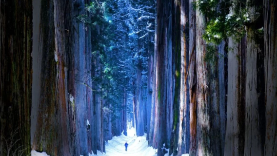 【冬季限定】日本 長野 戶隱神社 地獄谷雪猴 飯山雪屋一日遊
