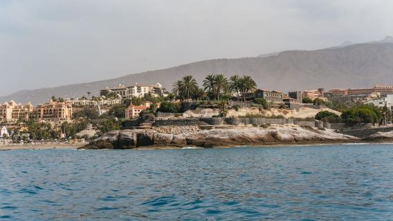 Costa Adeje: Crucero ecológico para avistar ballenas y delfines con aperitivos y bebidas