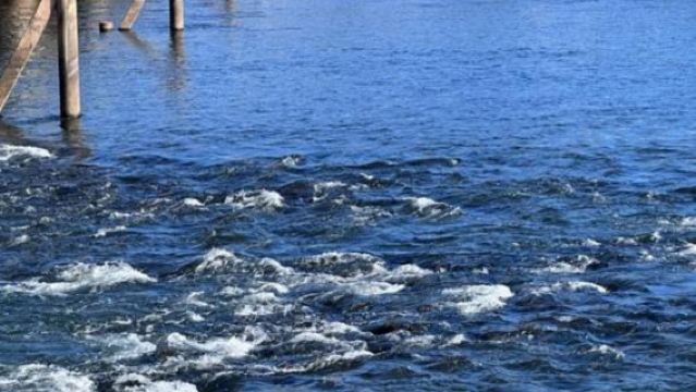 日本京都/大阪/奈良/宇治/神戶/任選關西一日包車-諮詢立減