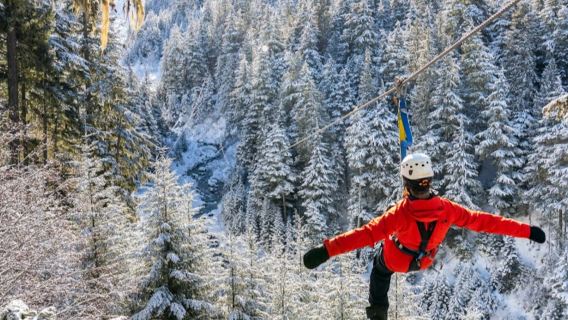 Whistler Ziptrek Ecotours: Zipline Adventure