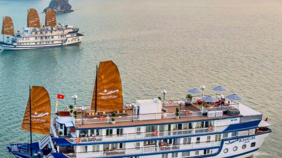 Hạ Long & Vịnh Bai Tu Long: Du thuyền 2 ngày 1 đêm của Signature + Dịch vụ đưa đón tùy chọn