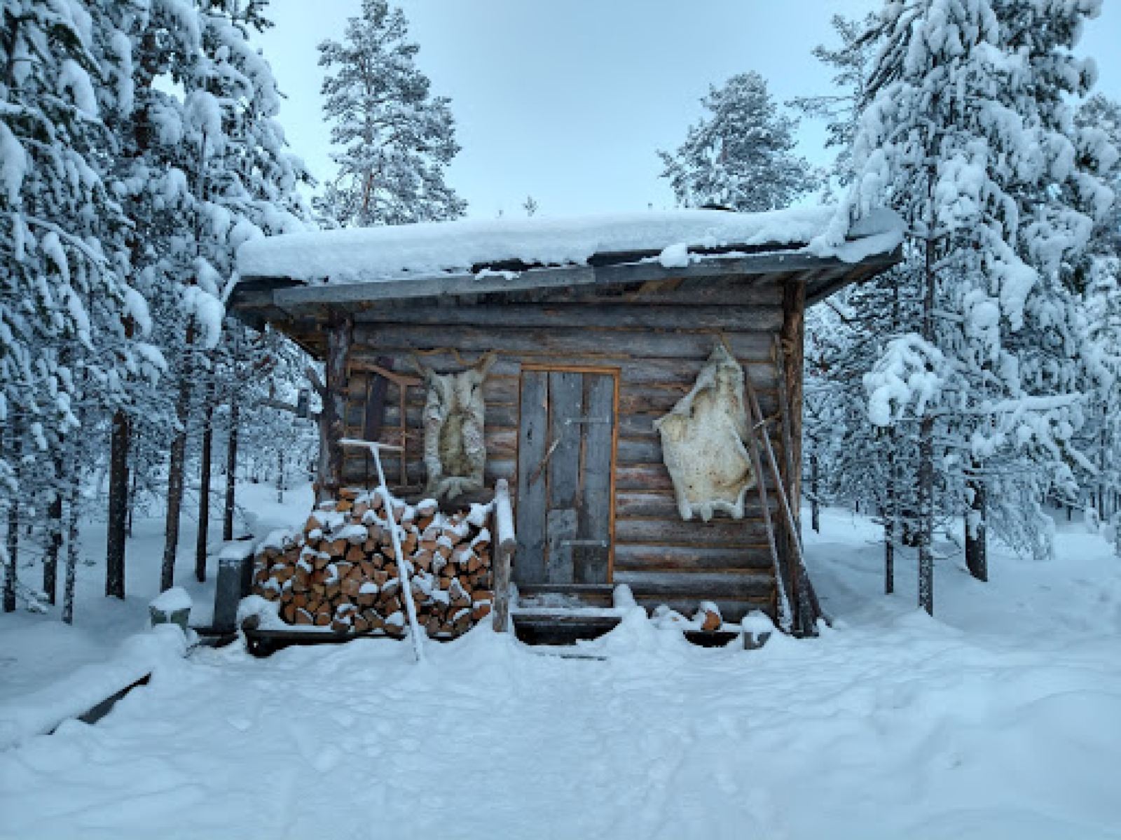 摩爾曼斯克+薩米民俗村+哈士奇公園-中文包車一日遊【可定制】