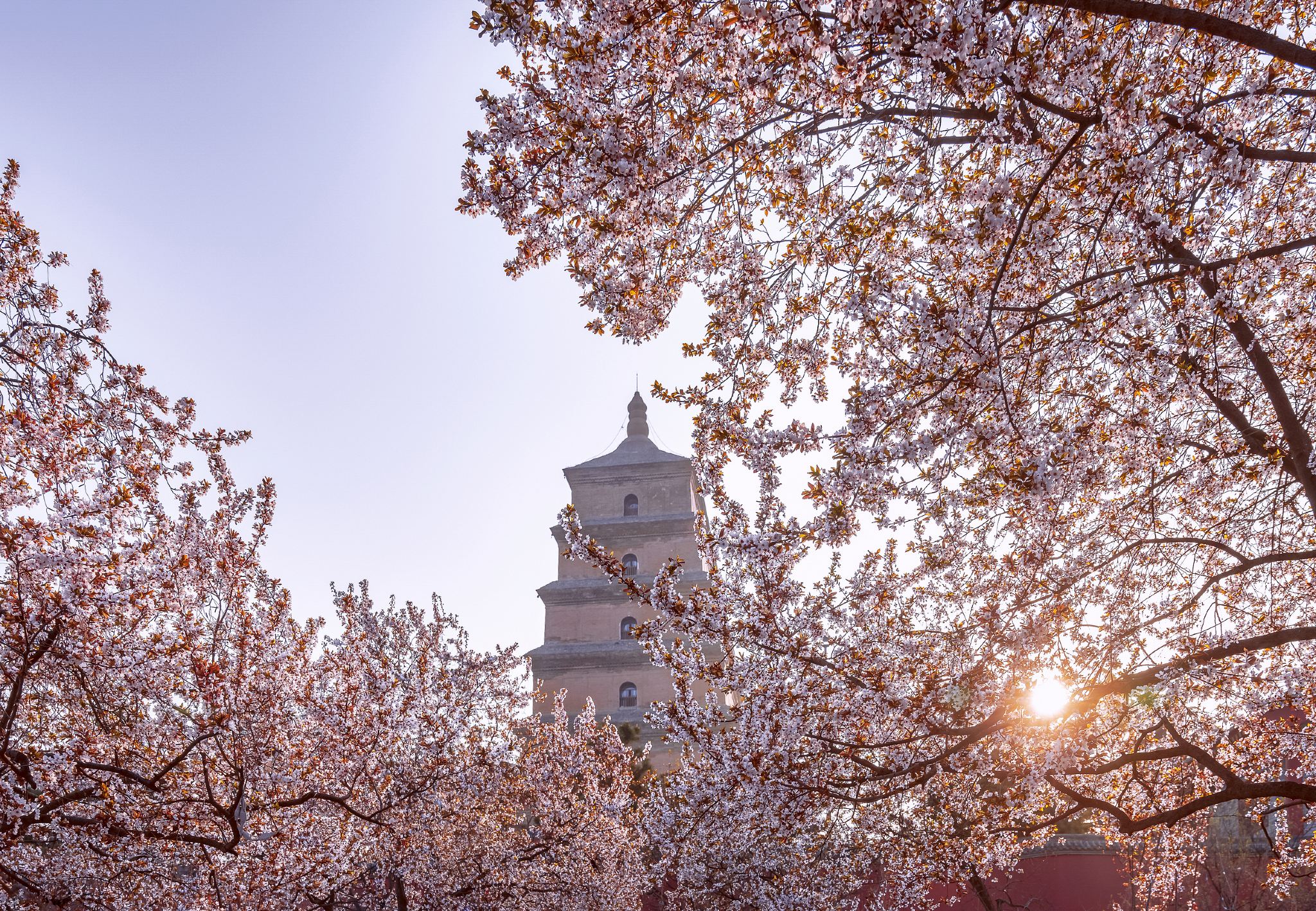 Travel through a thousand years in half a day! Professional Chinese guided tour of Da Ci'en Temple + quick overview of the Big Wild Goose Pagoda + a spectacular nighttime tour of the Tang Dynasty Never Sleeps City.