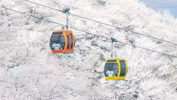 杭州-雲上草原滑雪場共乘來回接駁車不分對象