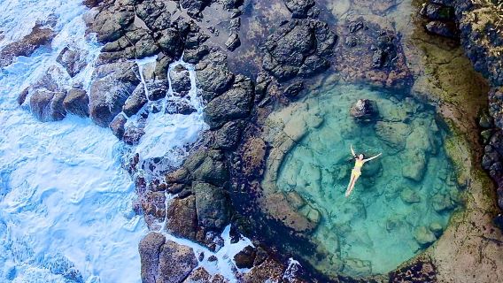 モーリシャス ▎8時間貸切チャーター クジラウォッチング+ライオンウォーク+ビーチ乗馬 自由な時間を楽しむ