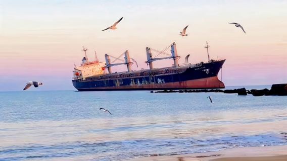 威海市區上門接| 天鵝湖+布魯維斯+那香海等網紅景點一日遊