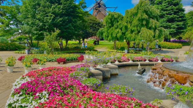 Lawatan Sewa Peribadi Tokyo-Chiba (Desa Eropah & Taman Dongeng) Jepun dengan Pengangkutan Pintu ke Pintu
