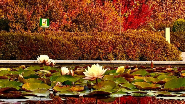 Biglietto d'ingresso per l'Orto Botanico + Parco Memoriale dei 28 Guerrieri + Cattedrale dell'Ascensione + Museo Nazionale Centrale a carico del visitatore