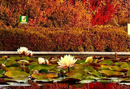 Almaty Private City Tour: Botanical Garden, Panfilov Park & Central Museum