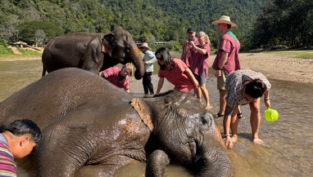 Lawatan Sehari ke Kem Rahsia Gajah Chiang Mai, Thailand: Bersama Gajah · Menikmati Air Terjun Sticky