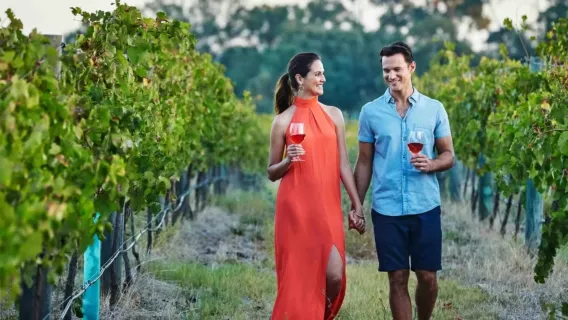Passeio de degustação no Vale dos Cisnes em Perth, Austrália [Inclui almoço + 4 vinícolas + cervejaria + chocolates]