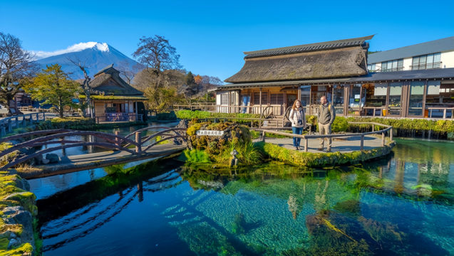 Classic Panoramic Day Trip to Mount Fuji: Arakurayama Asami Park +