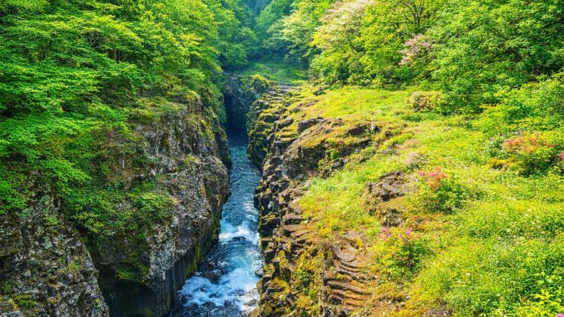 Mount Aso & Takachiho Day Tour