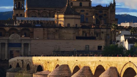 1-day tour from Seville to Cordoba: in-depth exploration of the mosque and royal palace ruins