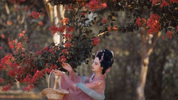 寧強Trip Moments【跟拍攝影親子家庭個人情侶照片短影片宣傳片寫真婚紗底片全送翻譯】