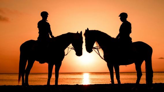 Sonnenuntergang-Pferdeabenteuer in Marsa Alam: Wüste & Meer