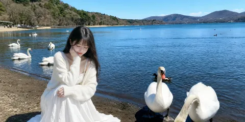 富士山雙湖全景一日遊:山中湖+河口湖+忍野八海+網紅打卡地