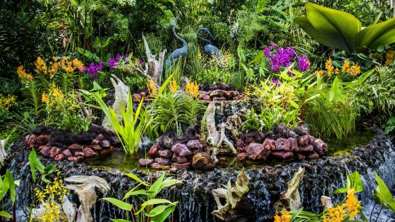 シンガポール｜シンガポール植物園＋ナショナル・オーキッド・ガーデン＋ガーデンズ・バイ・ザ・ベイ｜ランチ・日本語ガイド付き