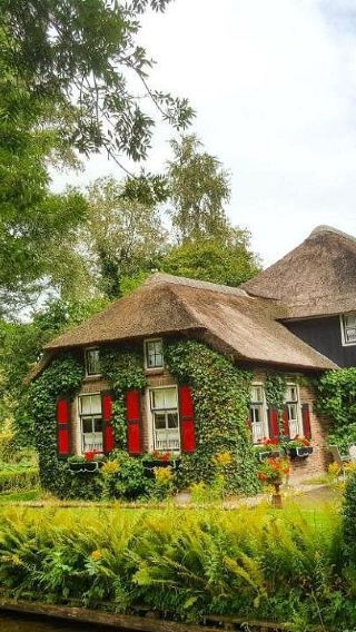 Amsterdam round-trip Giethoorn & Dutch polder 1-day tour