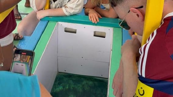 Tobago: Buccoo Reef Marine Park Glass Bottom Boat Tour