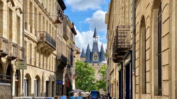 Bordeaux: Guided Walking Tour with English Speaking Guide