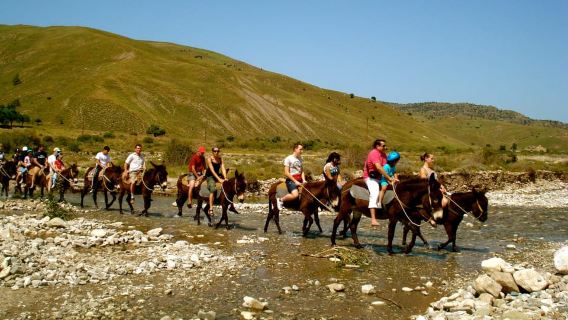 Paphos/Limassol: Donkey Farm Day Trip with Lunch & Tastings