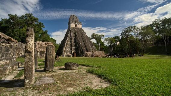 From Flores: Tikal Ruins Sunrise Guided Tour