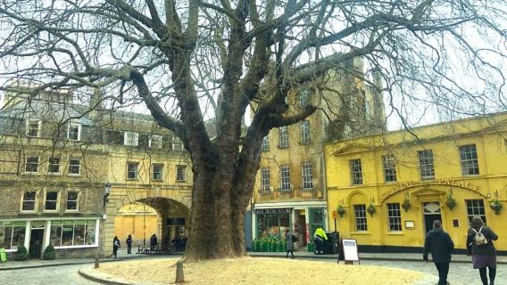 London: Stonehenge, Bath, Windsor, and Roman Baths Day Tour