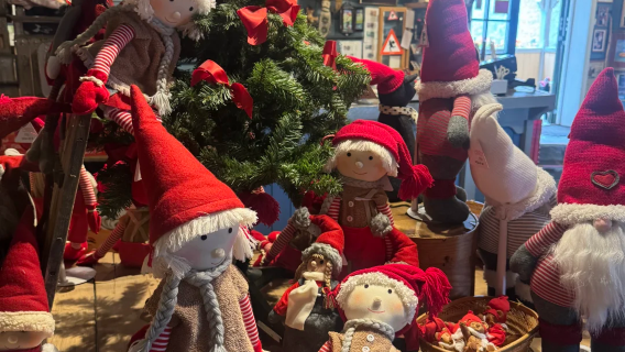 Norway Oslo - Kampung Halaman Santa Claus di Drøbak - Pekan Pantai - Sewaan Peribadi Bahasa Cina - Tersendiri