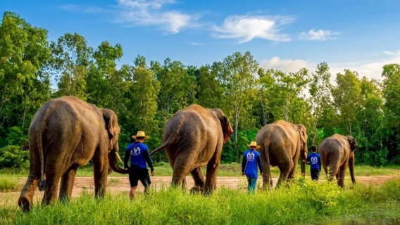Chiang Mai : Samoeng Elephant Care, Rainbow Cave & Jungle Tubing