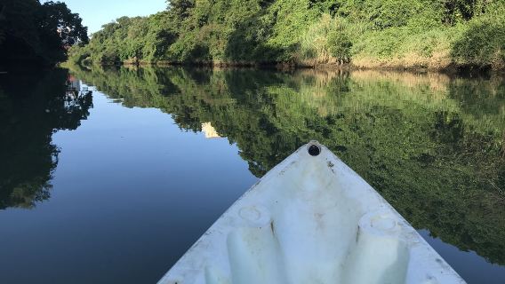 ウエーブマリンクラブ
