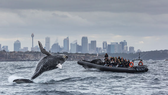 Sydney