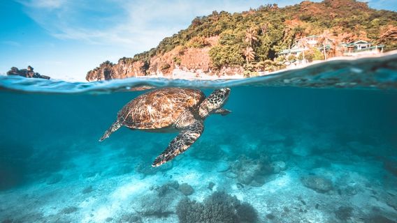 DumagueteTours