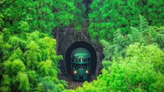 ทัวร์ 1 วัน ศาลเจ้าดาไซฟุ เทนมันกุ โออิตะ + ยูฟุอิน + ทะเลสาบคินริน + รถไฟยูฟุโนะโมริ