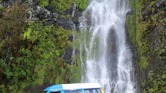 馬德拉：火山池與森林四驅吉普車之旅