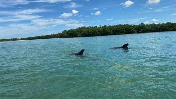 Fort Myers