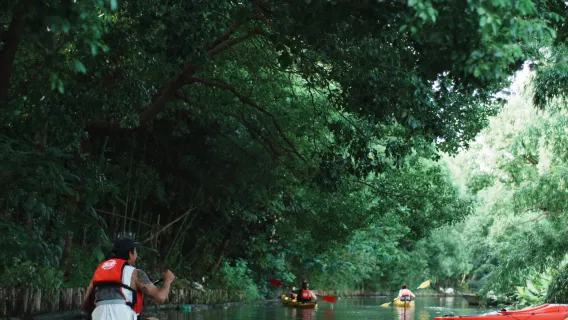 上海青浦擊水俱樂部皮划艇1.5小時【皮划艇/漿板1.5小時| 6人成型+安全與技術講解+零基礎體驗】