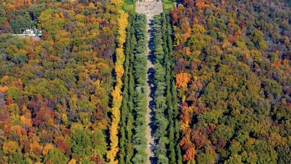 Nanjing: Former Residence of Wang Anshi + Ming Xiaoling Mausoleum + Ming Xiaoling Museum + Purple Mountain guide private charter G