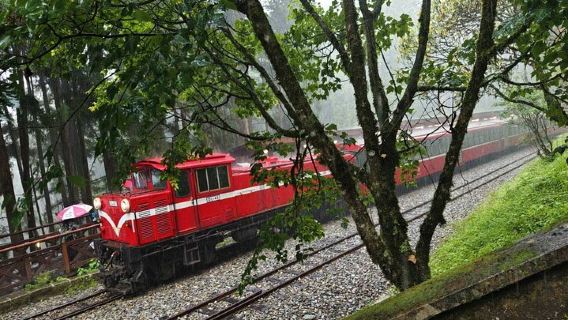 Alishan One Day Tour from Taichung