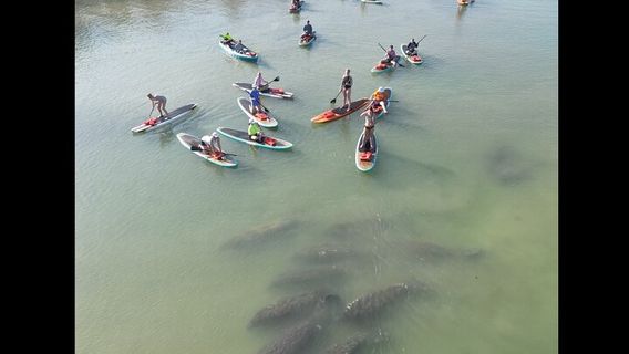 Cocoa BeachExperiences