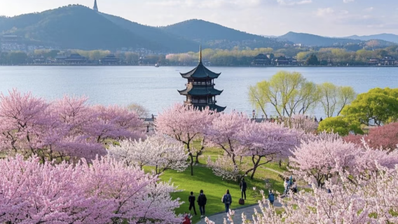 Fremdsprachenführer in Hangzhou für Englisch, Französisch, Deutsch und Spanisch – maßgeschneiderte Touren verfügbar