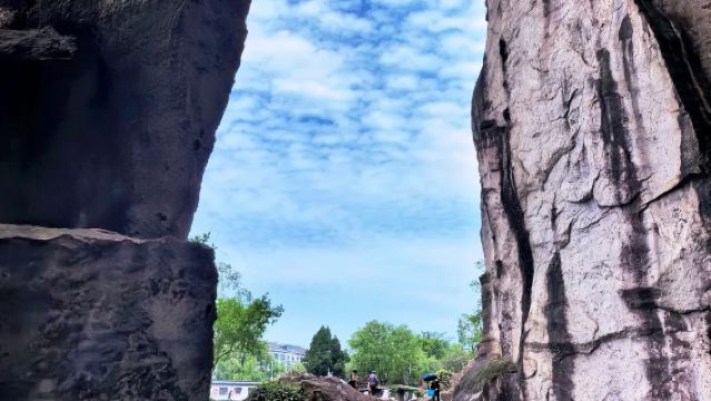 東湖入場門票+烏篷船體驗+私人導覽講解服務【包團】不限人群