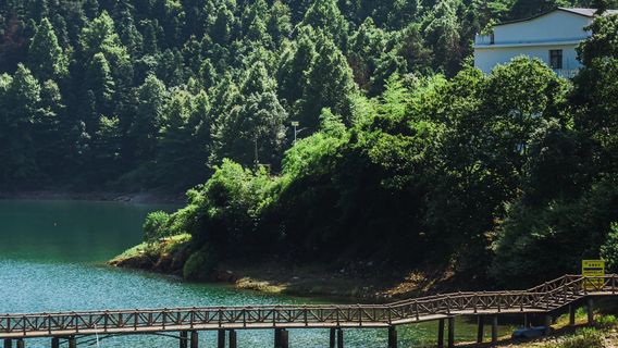 TongchengTours