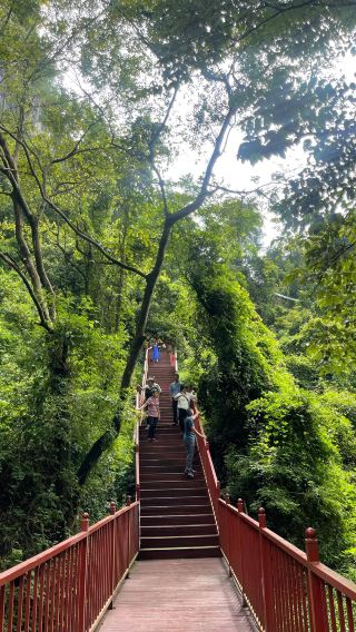Qingyuan Yingxi Peak Forest Corridor, Dongtian Xianjing, and Fenglin Town 1-day tour with English service available