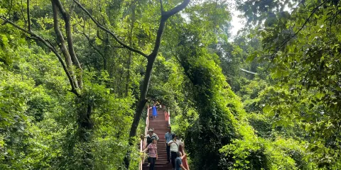 清遠英西峯林走廊+洞天仙境+峯林曉鎮一日遊可英文服務