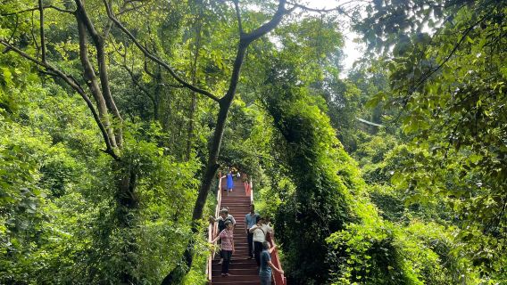 Qingyuan Yingxi Peak Forest Corridor + Dongtian Wonderland + Fenglinxiao Town + Gulong Gorge one-day tour English service available